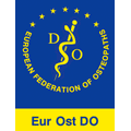 Logo EFO